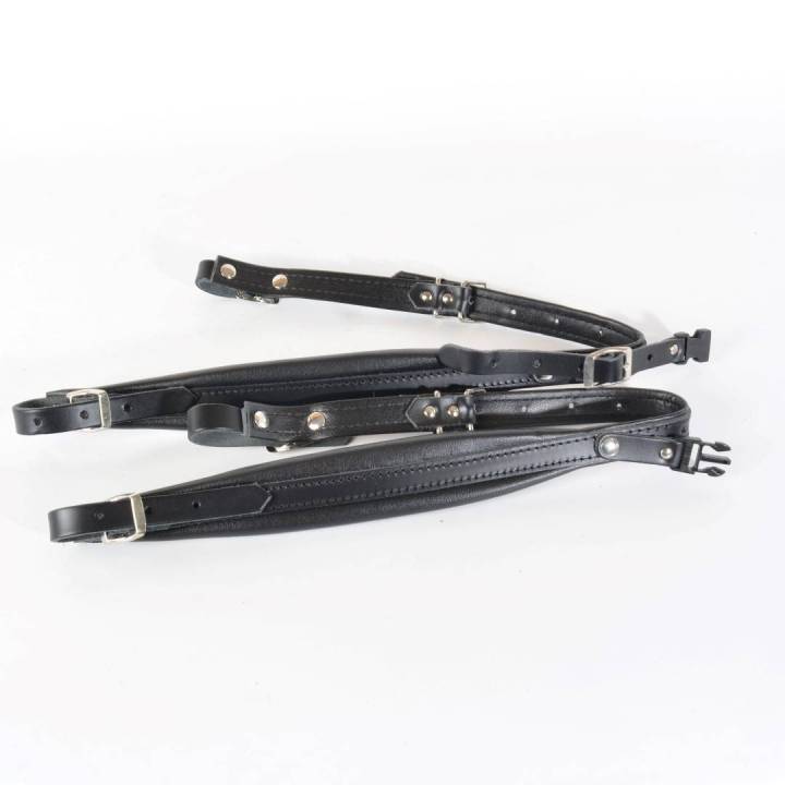 Sky Diatonic Accordion Shoulder Straps (60-bass)