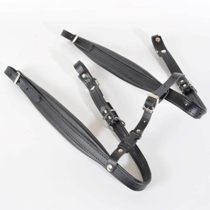 Correias infantis para acordeão