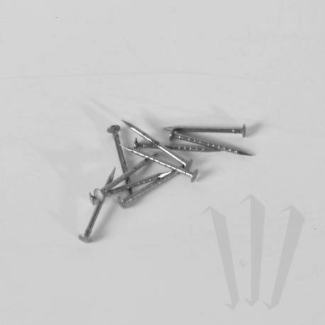 unhas de acordeão