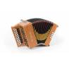 Castagnari Brincu accordion