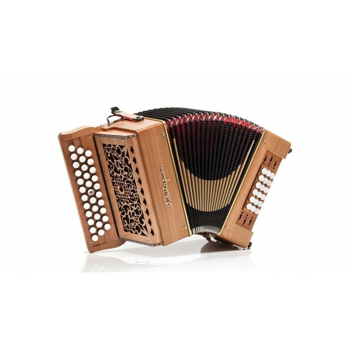 Castagnari Big 18 accordion