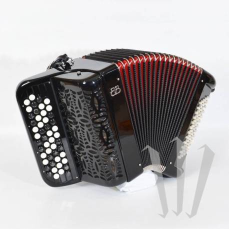 Ballone Burini研究