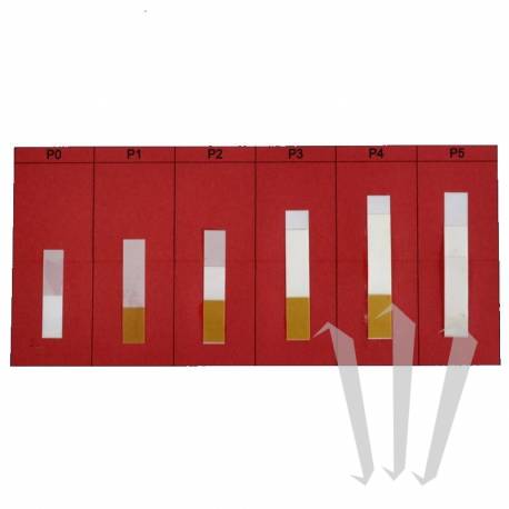 50 Peles de Plástico