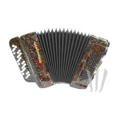 Accordéon Pigini Skywalker 60 basses