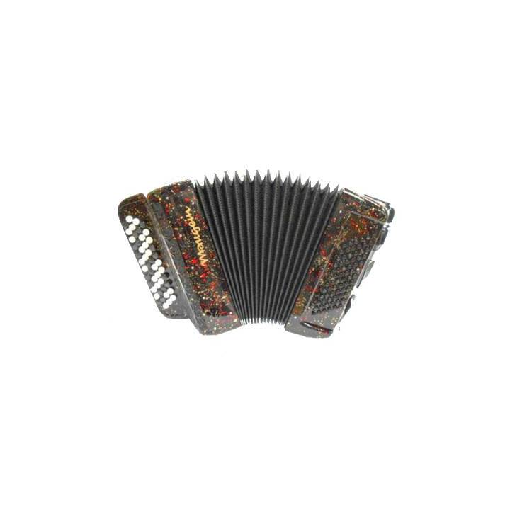 Accordéon Pigini Skywalker 60 basses