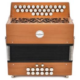 Accordéon Pigini Skywalker 60 basses