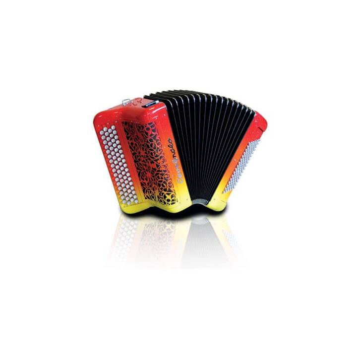 Accordéon à Convertisseurs Pigini