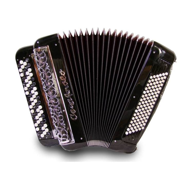 Accordéon à Convertisseurs Pigini