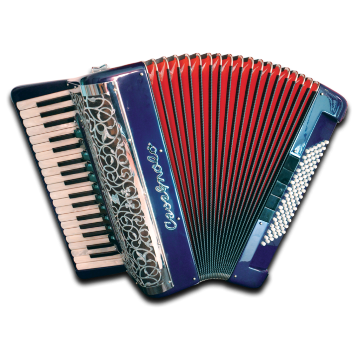 Accordéon à Convertisseurs Pigini
