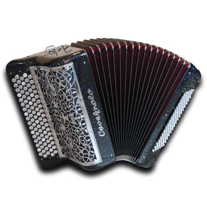 Accordéon à Convertisseurs Pigini