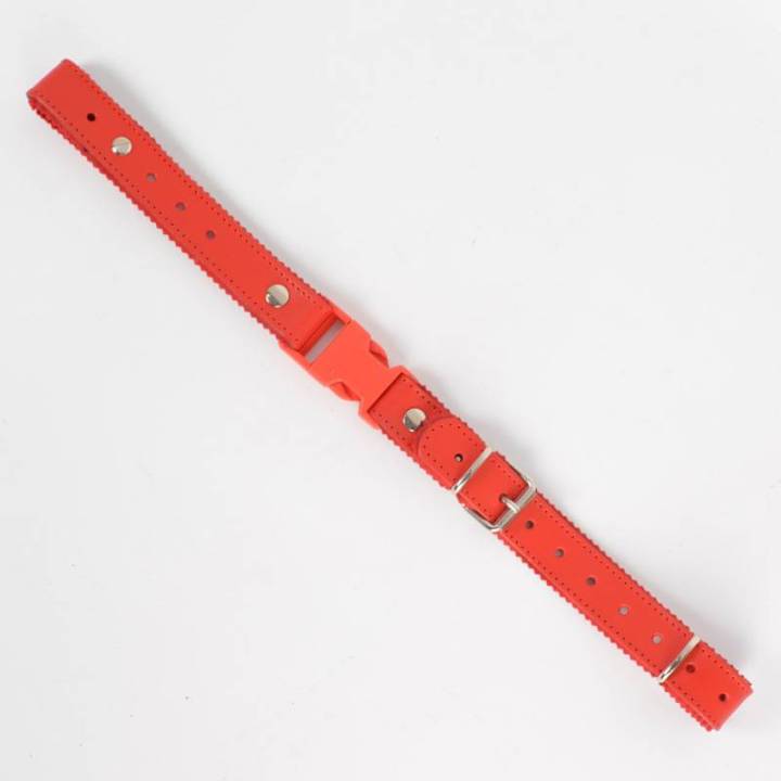 Attaches dorsales pour accordéon