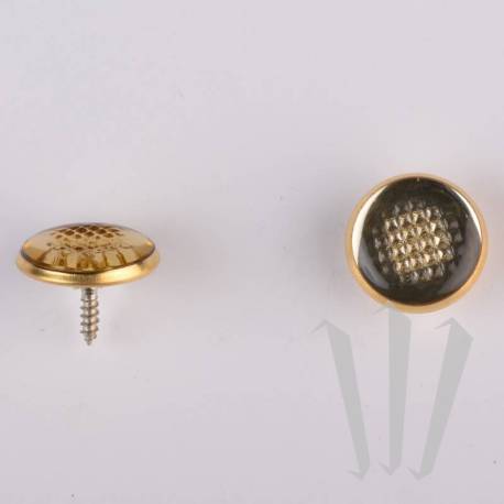 Botões circulados marcam a mão direita (14,5 mm)