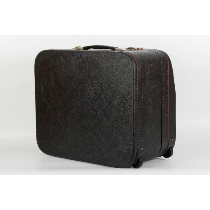 Valise standard pour accordéon