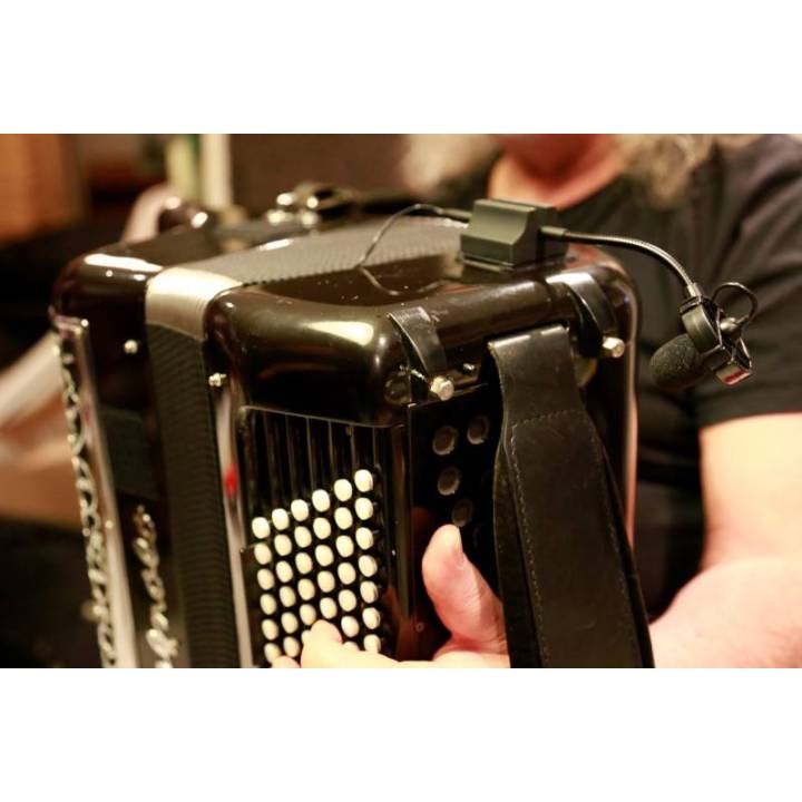 Mikro Harmonik