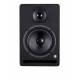 Powered Speaker (Musictech MT24M)