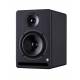 Powered Speaker (Musictech MT24M)