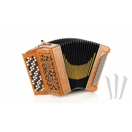 手风琴Castagnari Magica 3°