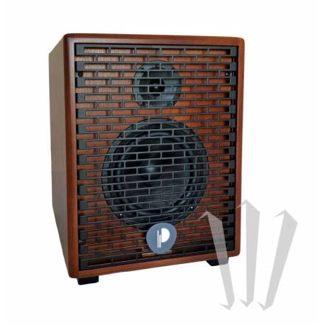 Powered Speaker (Musictech MT24M)