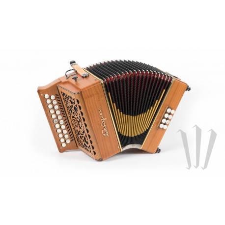 Castagnari Brincu accordion