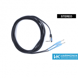 Cable P10 stereo