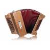 Hohner Фан Селтик III
