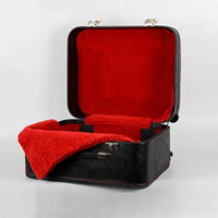 Accordion Hard Cases